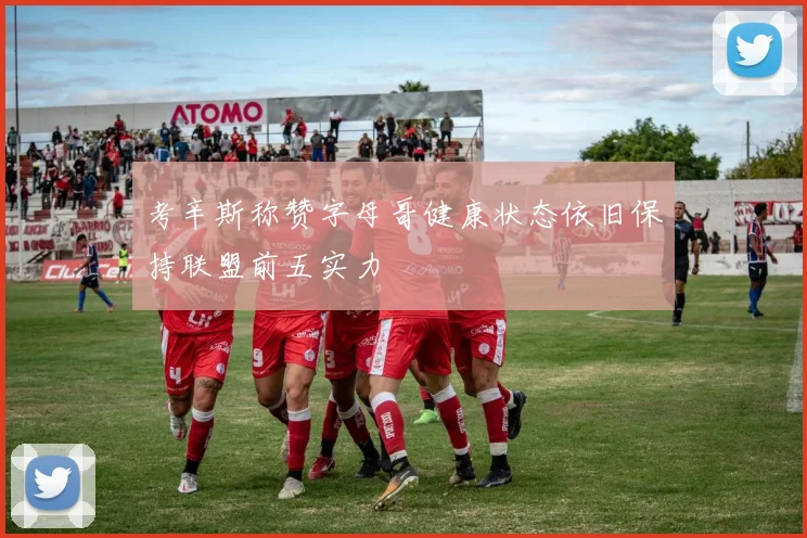 考辛斯称赞字母哥健康状态依旧保持联盟前五实力
